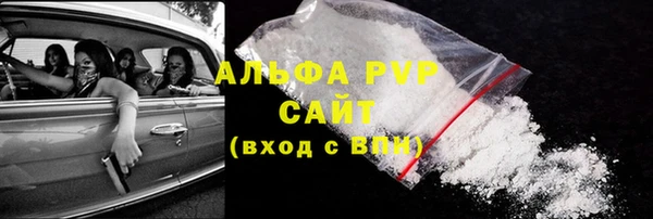 PSILOCYBIN Приозерск