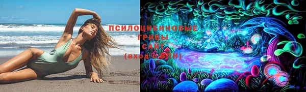 шишки Пролетарск