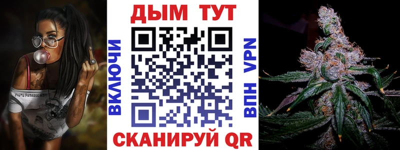 Конопля SATIVA & INDICA  Терек 